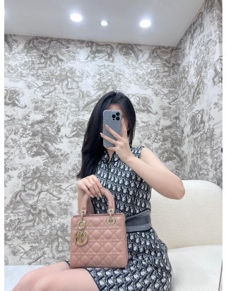 디올 레이디 스몰 백