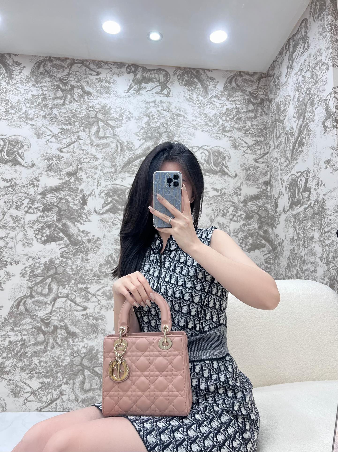 디올 레이디 스몰 백