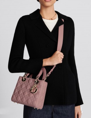 디올 레이디 스몰 백