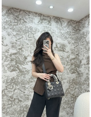 디올 레이디 스몰 백