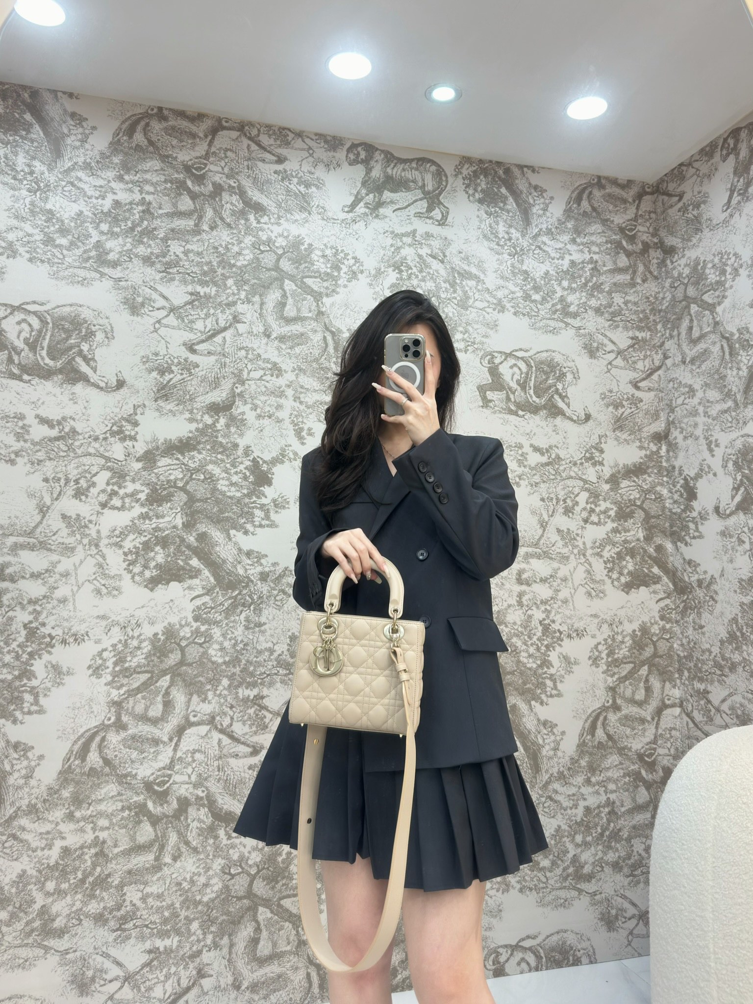 디올 레이디 스몰 백