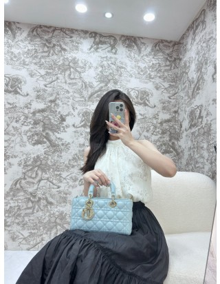 디올 레이디 미디움 백