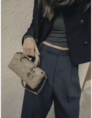 디올 레이디 디 조이 백 스몰 백