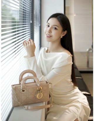 디올 레이디 디 조이 백 스몰 백