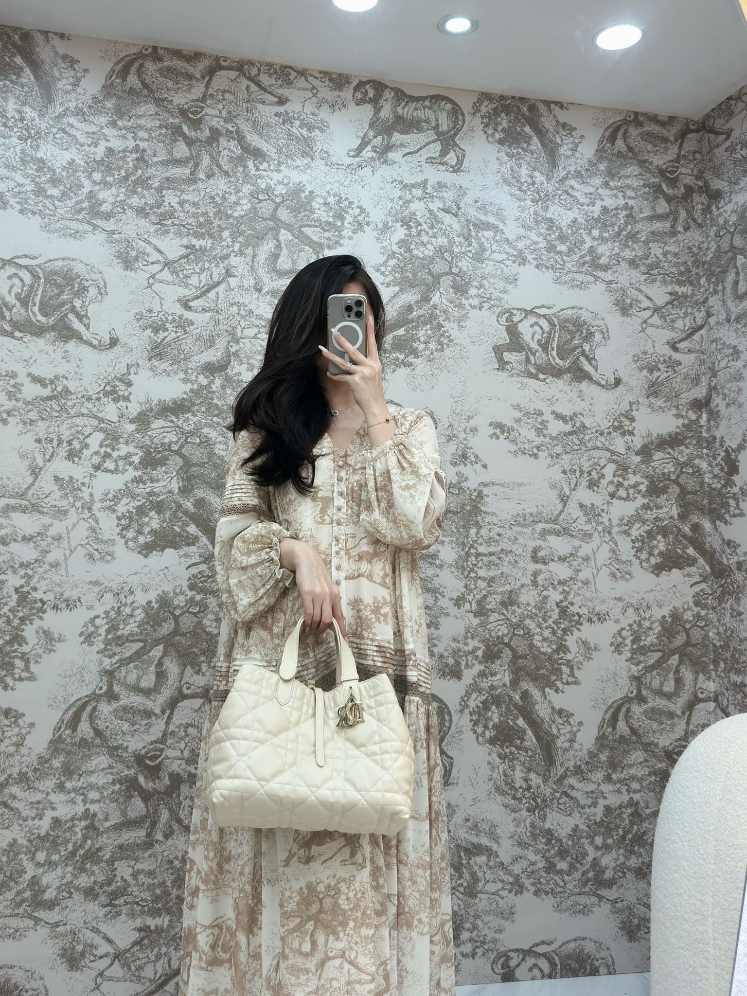 디올 뚜주흐 토트백 미디움