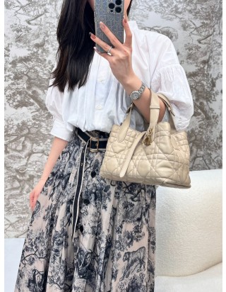 디올 뚜주흐 토트백 스몰