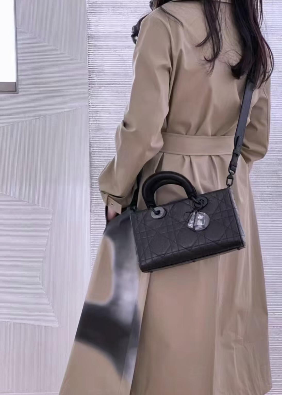 디올 레이디 D-시레마이 ABC 스몰