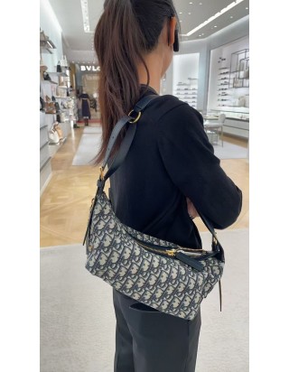 디올 디저니 백