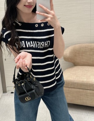 디올 카로 버킷백 나노