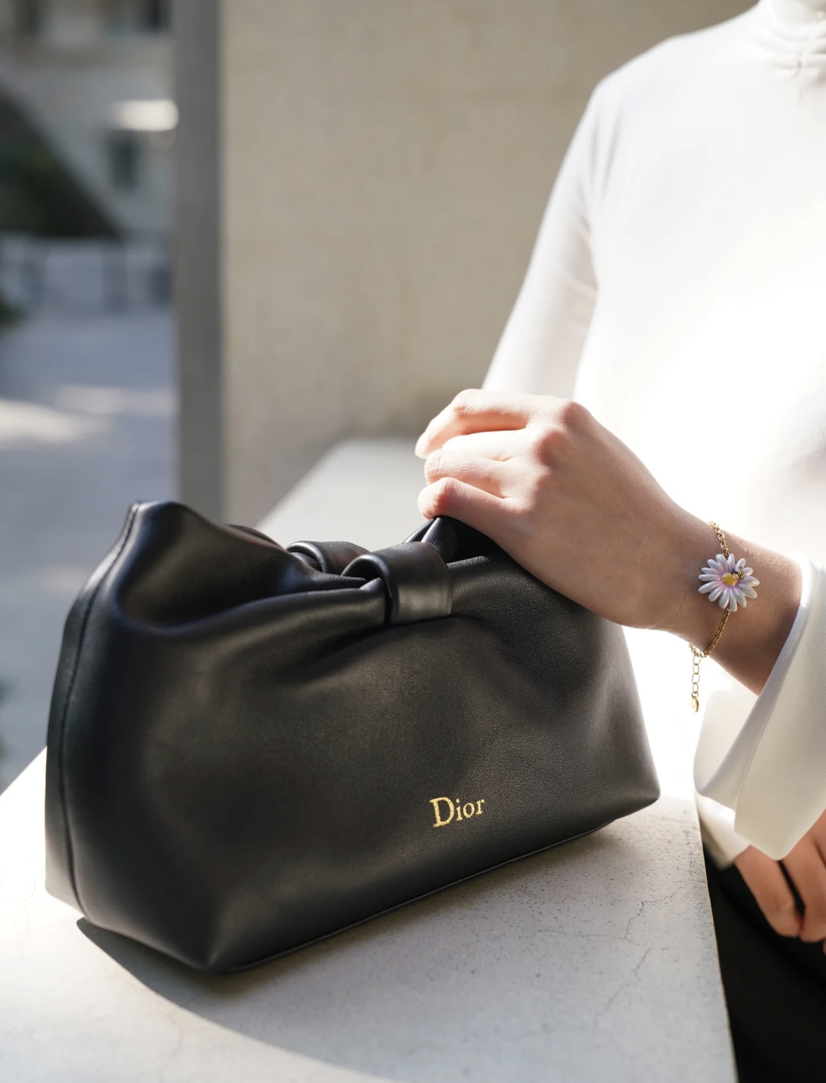 디올 보우 백 스몰