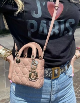 레이디 디올 마이크로