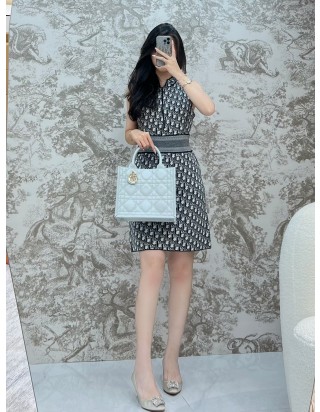 디올 북 토트백 스몰