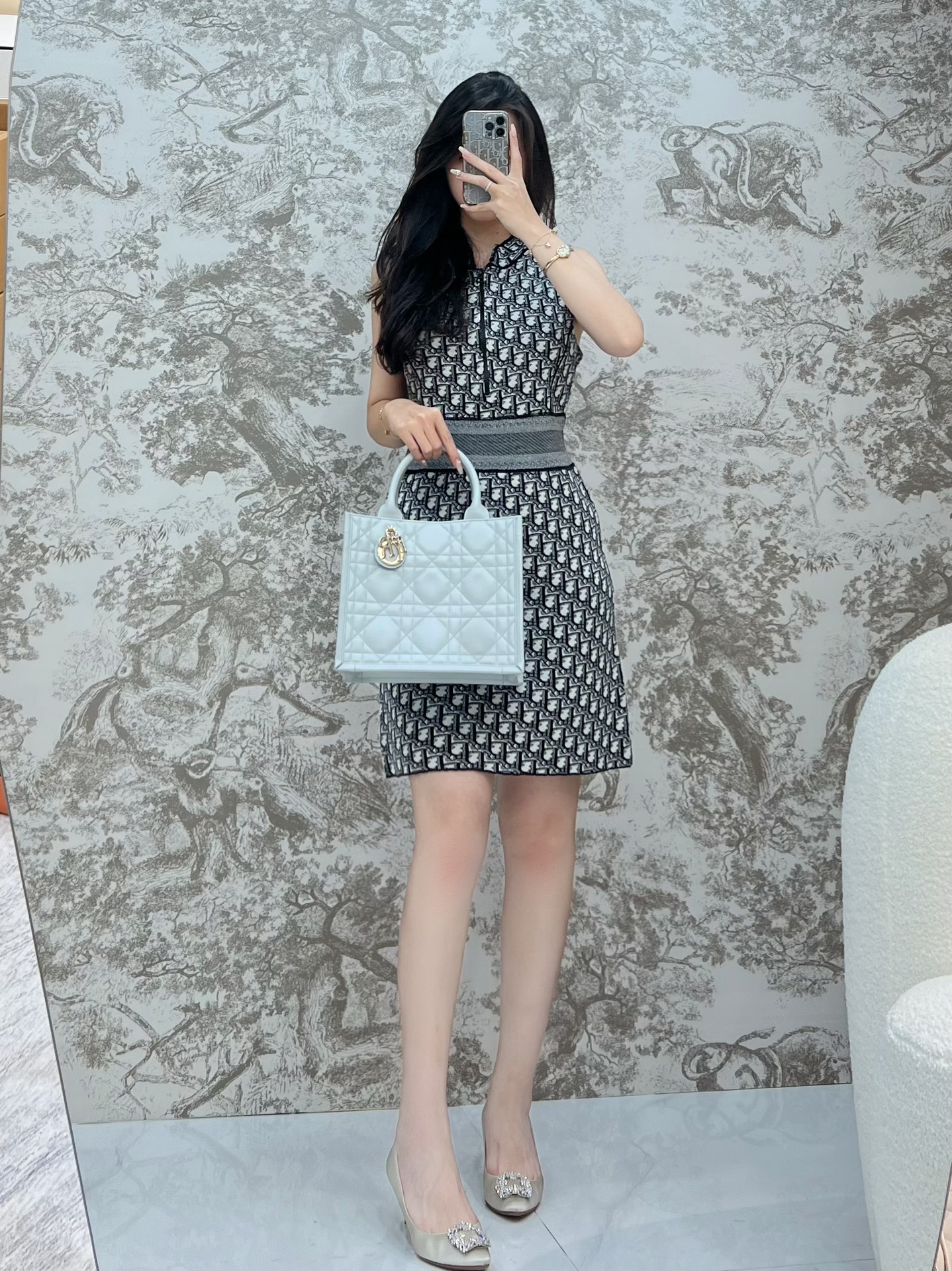 디올 북 토트백 스몰