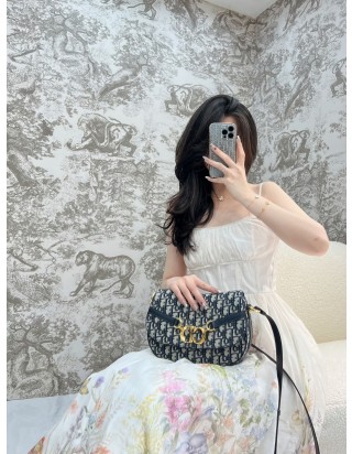 디올 오블리크 베사체 스몰 백