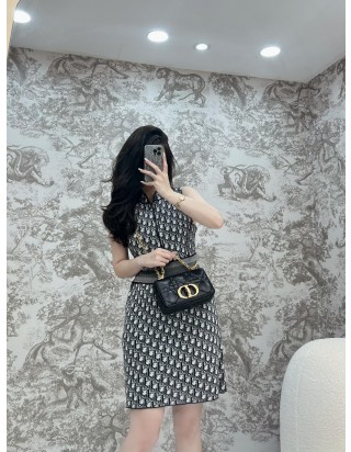 디올 카로 스몰 백