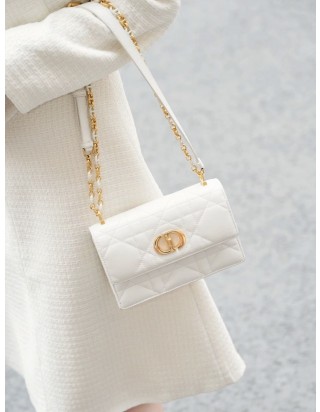 디올 미스 카로 스몰백