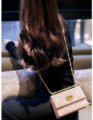 디올 미스 카로 스몰백