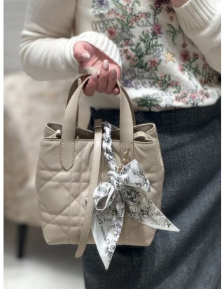 디올 뚜주흐 스몰 버티컬 토트 백