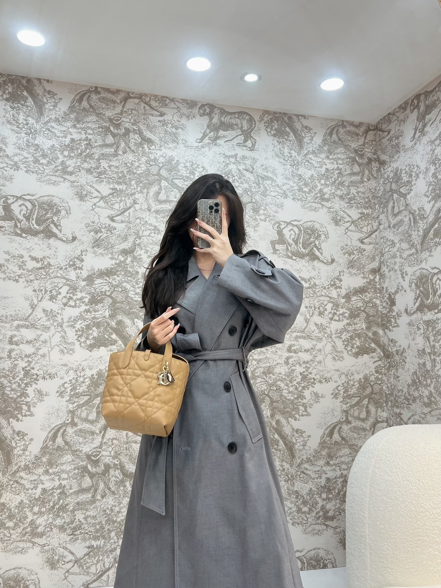 디올 뚜주흐 스몰 버티컬 토트 백