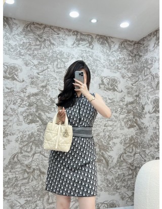 디올 뚜주흐 스몰 버티컬 토트 백