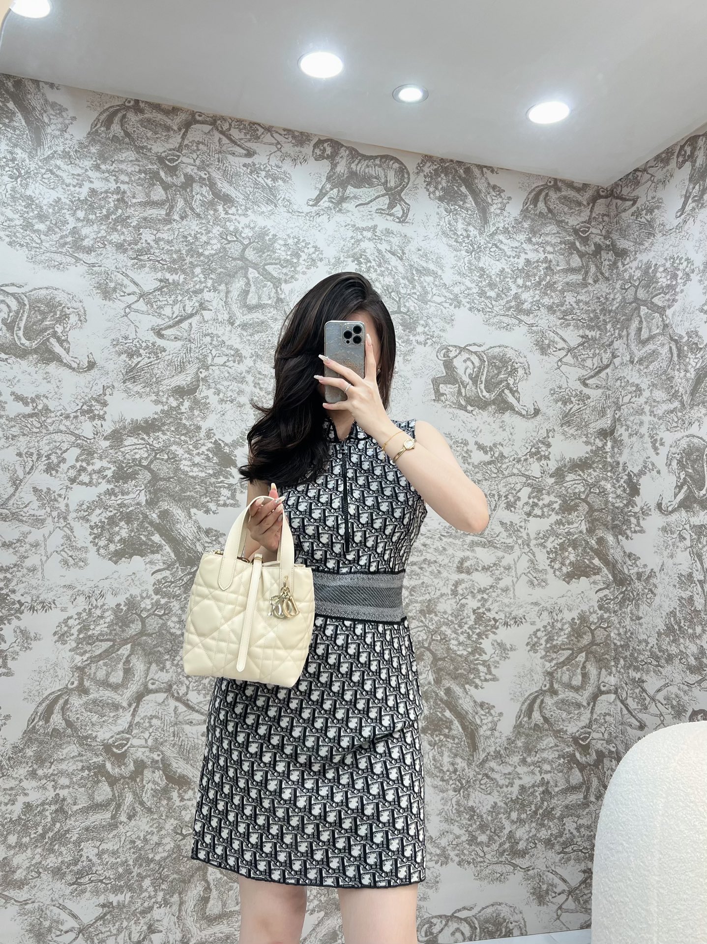 디올 뚜주흐 스몰 버티컬 토트 백