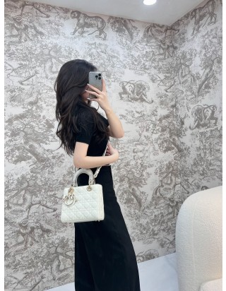 레이디 디올 백 미니