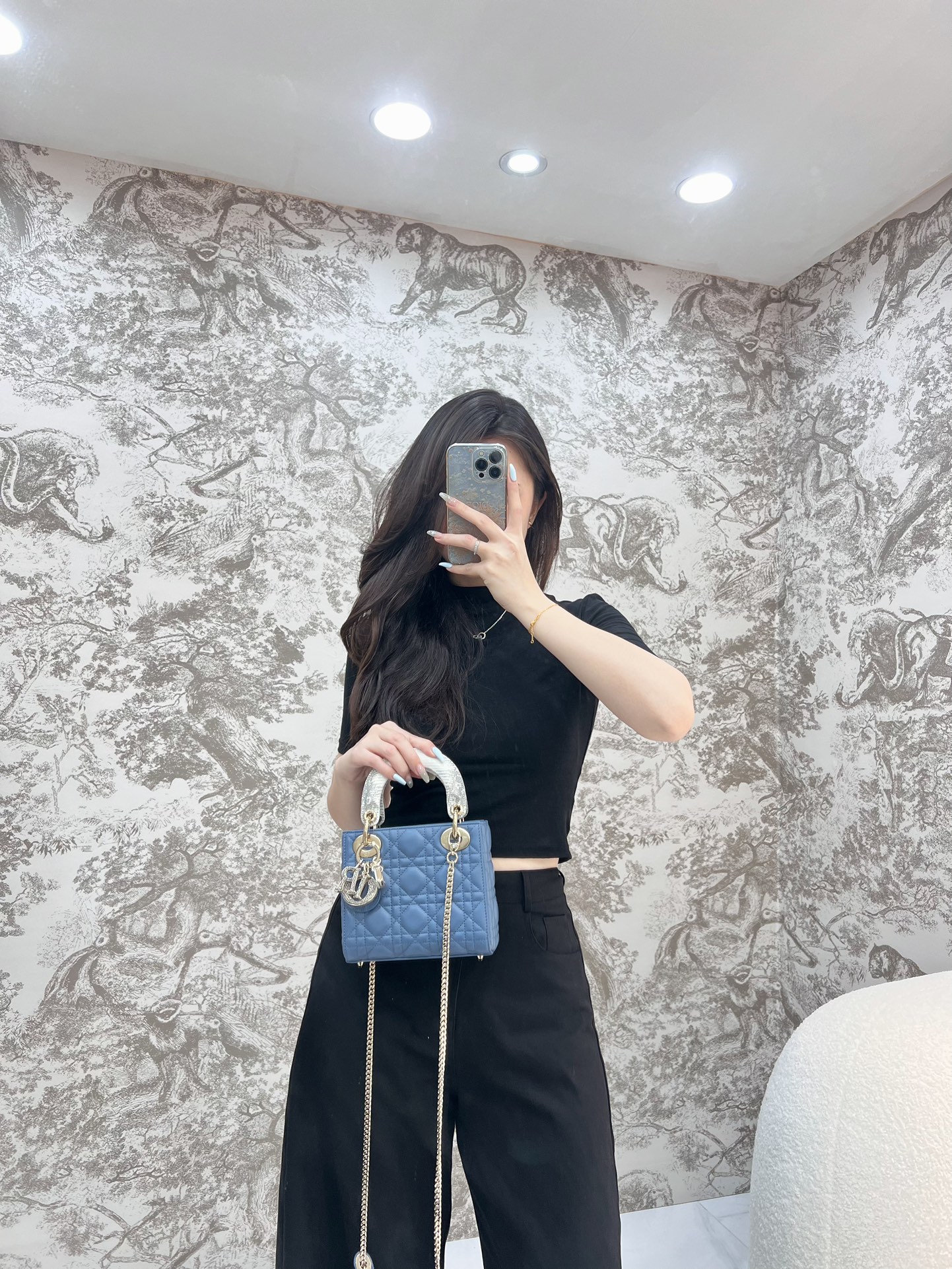 레이디 디올 백 미니