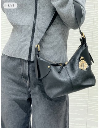 디올 보야주 스몰 백