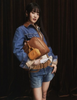 미우미우 보 백 미디움