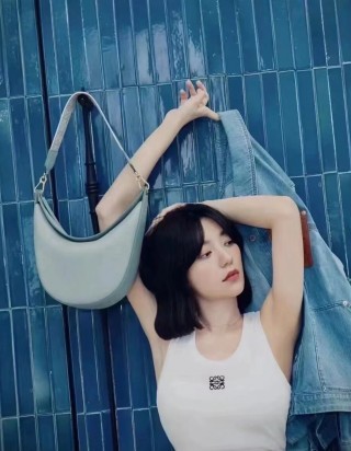 로에베 루나 백