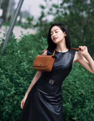 로에베 고야 백 미디움