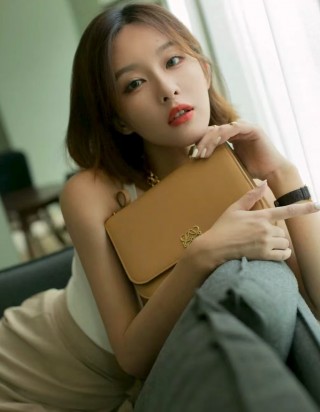 로에베 고야 백 미디움