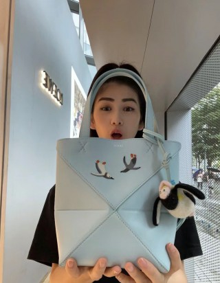로에베 엑스 스나 후지타 펭권 미니 퍼즐 폴더 토트